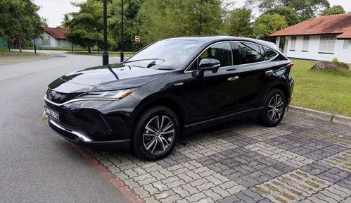 国产18p,探索中国影视产业的创新与突破 第3张 国产18p,探索中国影视产业的创新与突破 第3张