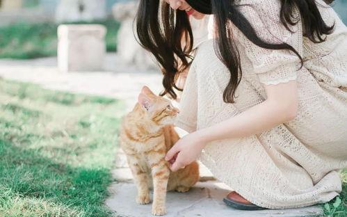 国产双飞任你爽,畅享极致视听盛宴 第3张 国产双飞任你爽,畅享极致视听盛宴 第3张